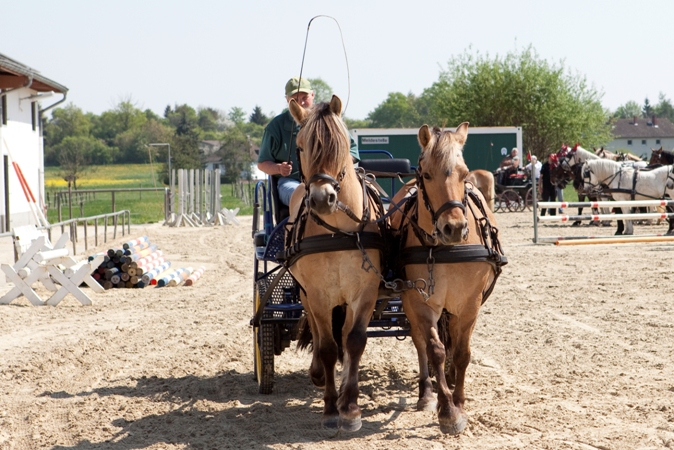 Reitverein Lich Kutschen 0072
