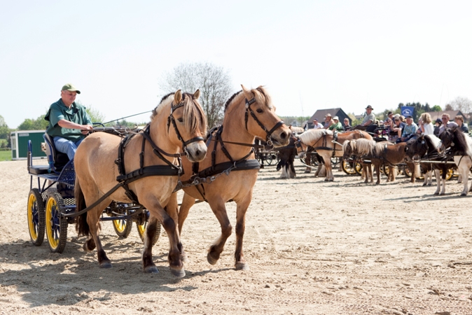 Reitverein Lich Kutschen 0073