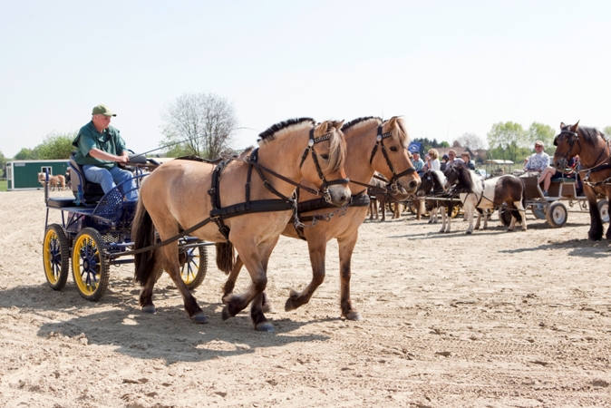 Reitverein Lich Kutschen 0074