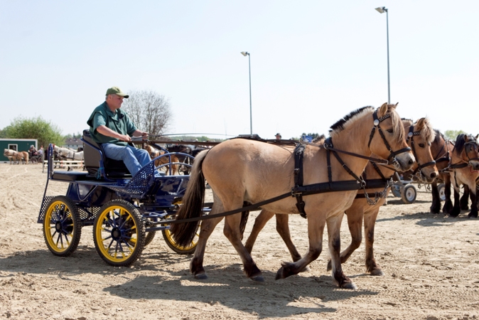 Reitverein Lich Kutschen 0075