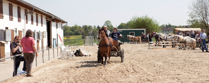 Reitverein Lich Kutschen 0076