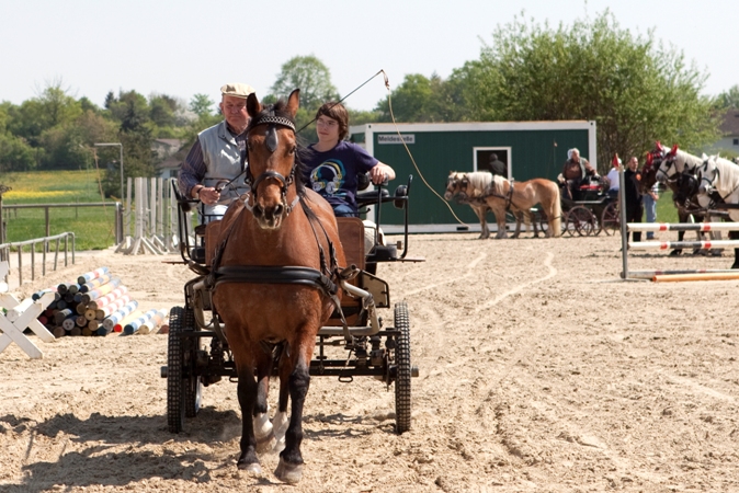 Reitverein Lich Kutschen 0077