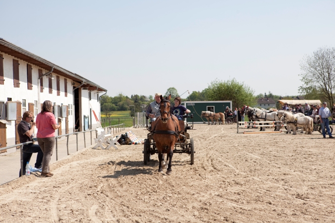 Reitverein Lich Kutschen 0078