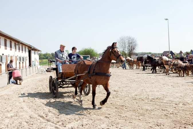 Reitverein Lich Kutschen 0081