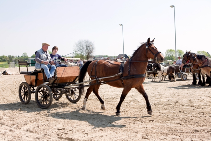 Reitverein Lich Kutschen 0082