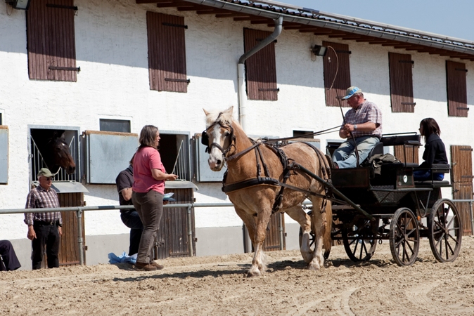 Reitverein Lich Kutschen 0084