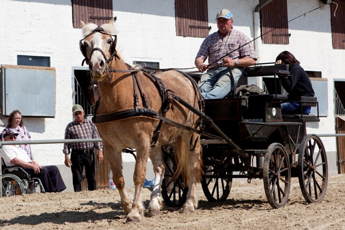 Reitverein Lich Kutschen 0086