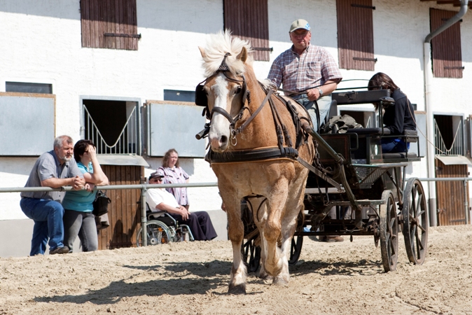 Reitverein Lich Kutschen 0087