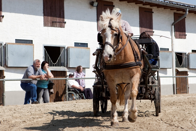 Reitverein Lich Kutschen 0088