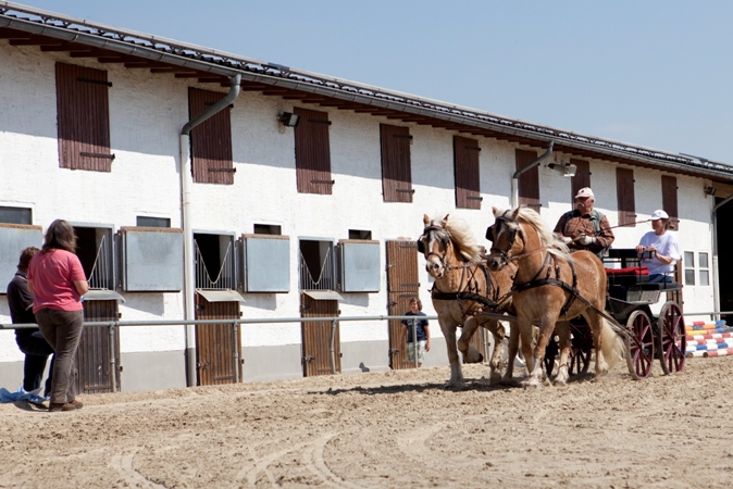 Reitverein Lich Kutschen 0090