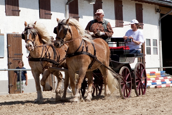 Reitverein Lich Kutschen 0091