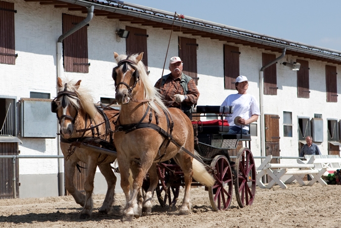 Reitverein Lich Kutschen 0092
