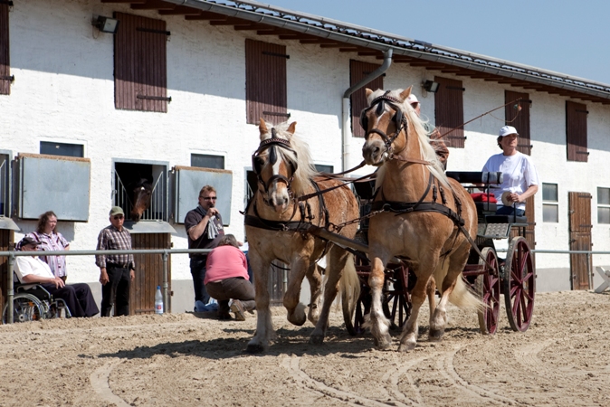 Reitverein Lich Kutschen 0093