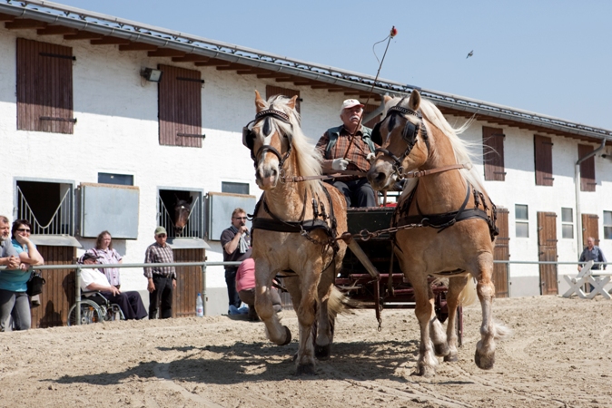 Reitverein Lich Kutschen 0094