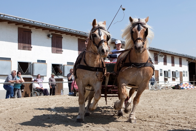 Reitverein Lich Kutschen 0095
