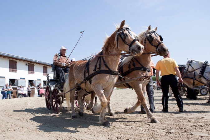 Reitverein Lich Kutschen 0096