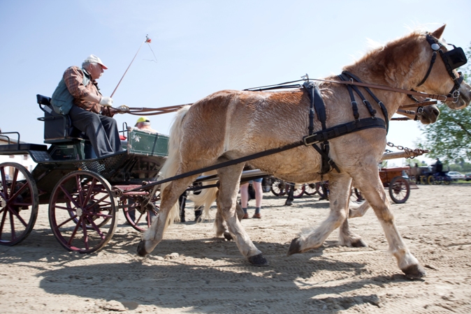 Reitverein Lich Kutschen 0097