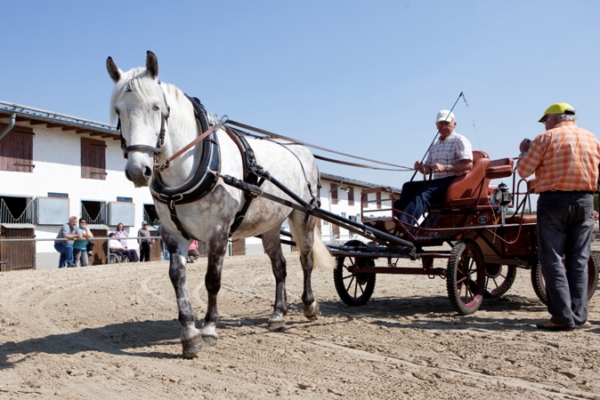 Reitverein Lich Kutschen 0099