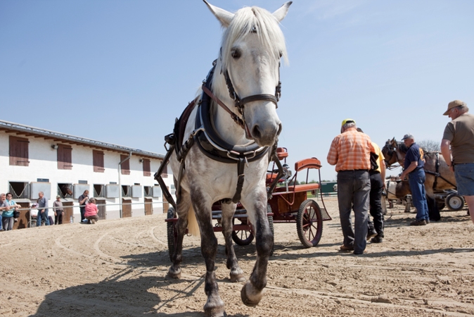 Reitverein Lich Kutschen 0100