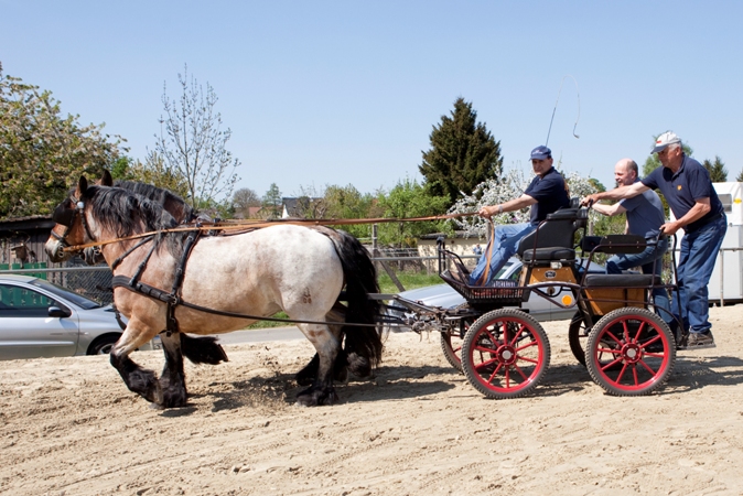 Reitverein Lich Kutschen 0102