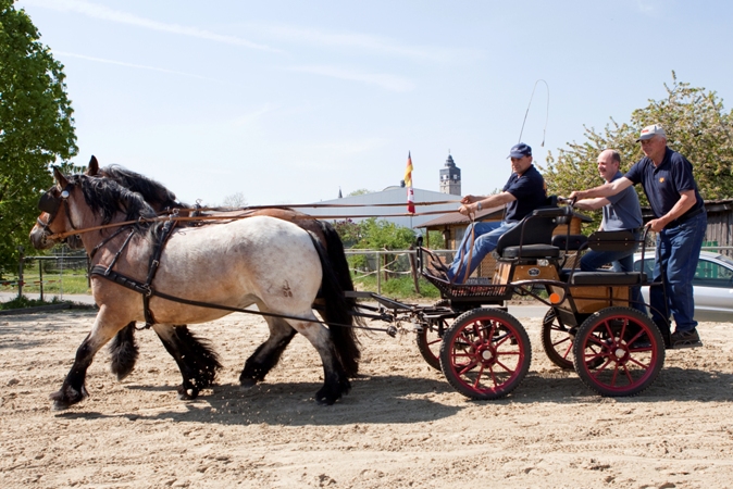 Reitverein Lich Kutschen 0103