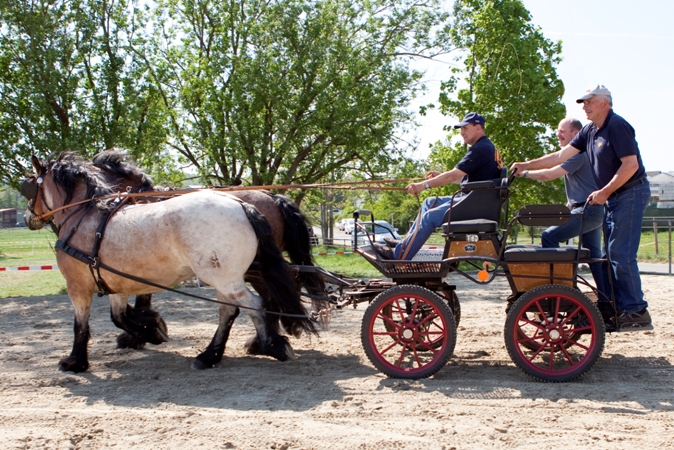 Reitverein Lich Kutschen 0104