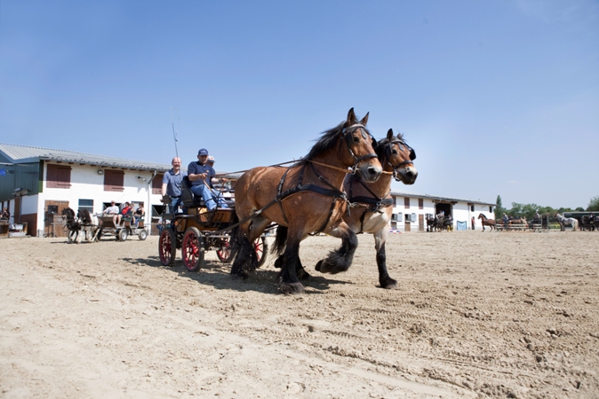 Reitverein Lich Kutschen 0105