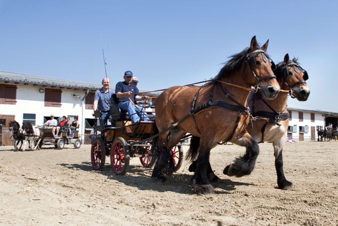 Reitverein Lich Kutschen 0106