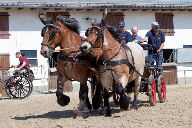 Reitverein Lich Kutschen 0107