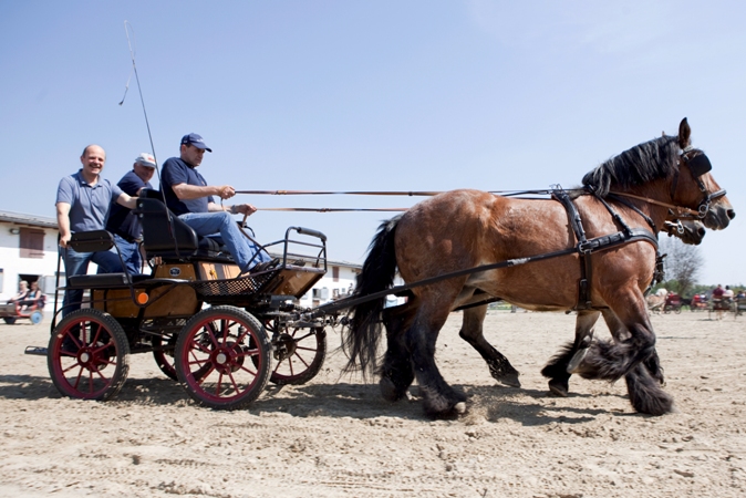 Reitverein Lich Kutschen 0110