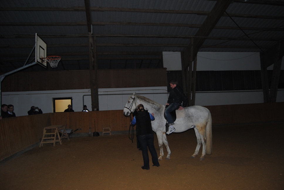 Licher BasketBaeren 02