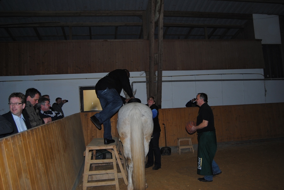 Licher BasketBaeren 07