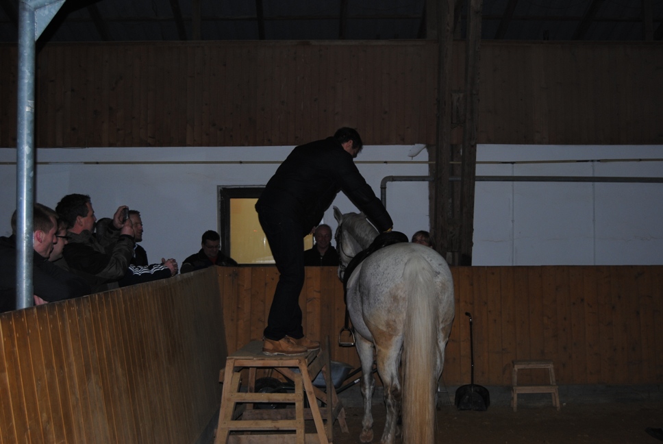Licher BasketBaeren 13