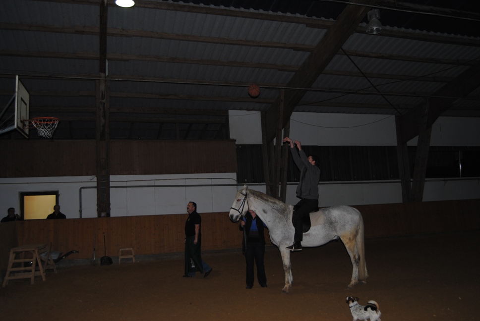 Licher BasketBaeren 18