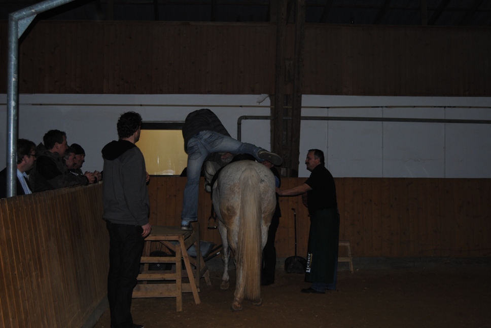 Licher BasketBaeren 19