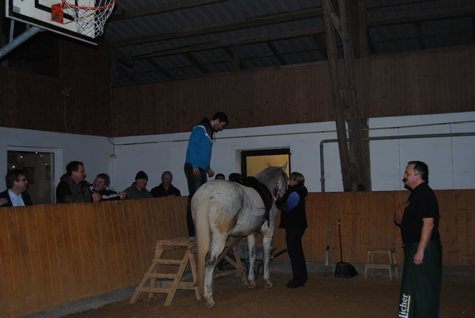 Licher BasketBaeren 22
