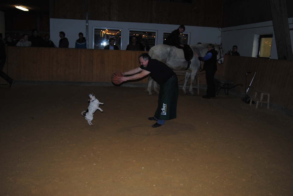 Licher BasketBaeren 30