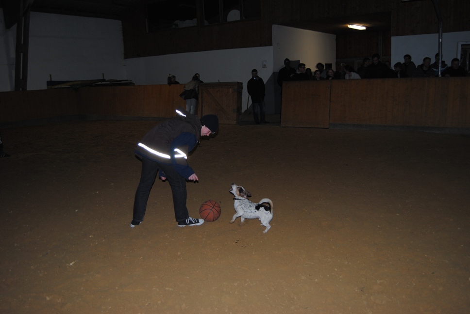 Licher BasketBaeren 31