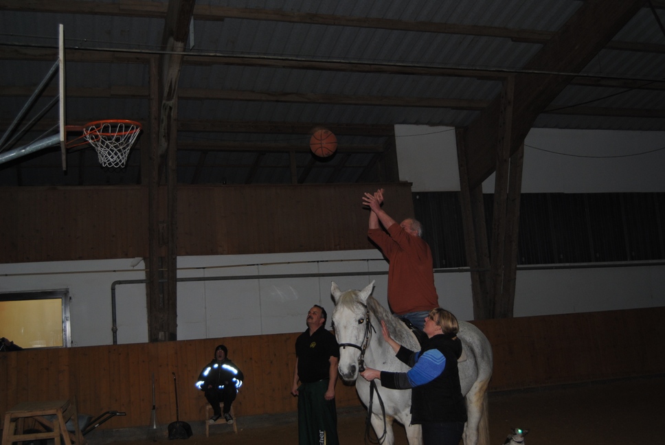 Licher BasketBaeren 37