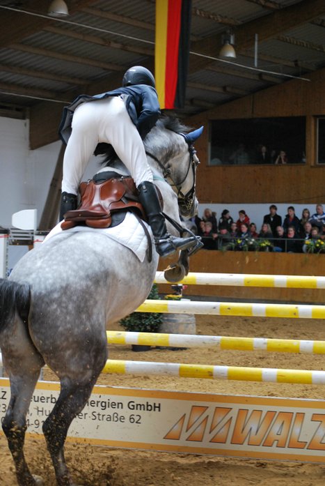 1. springpruefung kl. m m. siegerrunde 01