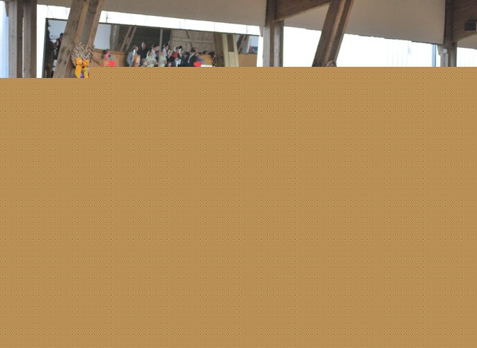 1. springpruefung kl. m m. siegerrunde 10