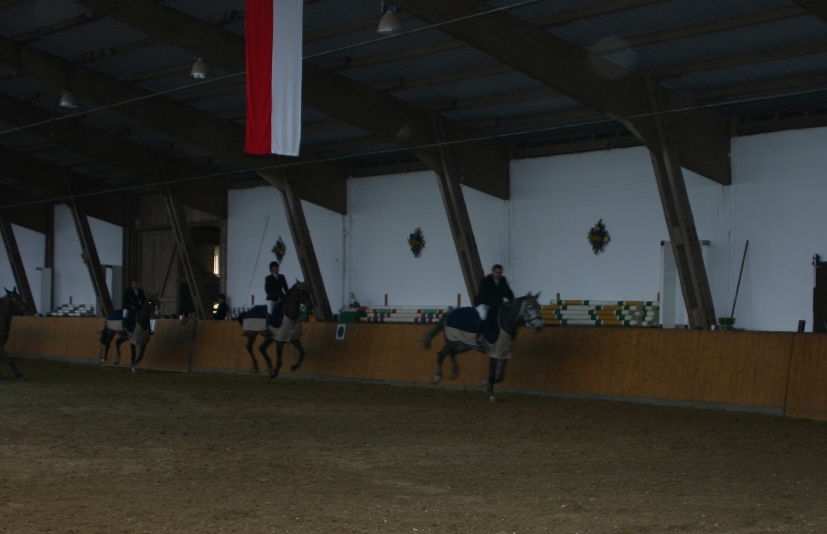 10 Mannsch. Springprfg. Kl. A mit 1 Umlauf 28