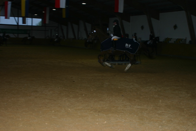 11 Dressurprfg Kl. A für Mannschaften 21