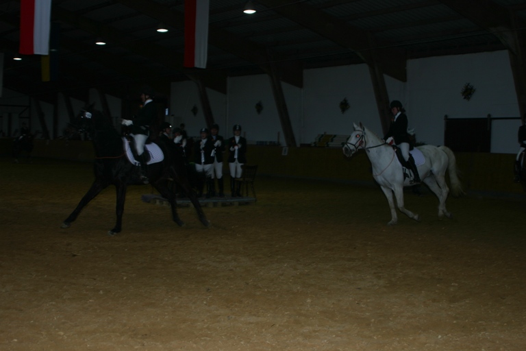 11 Dressurprfg Kl. A für Mannschaften 22