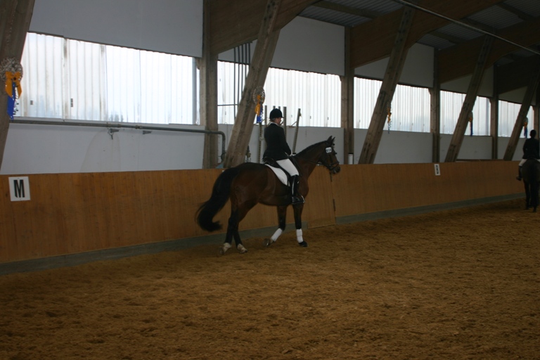 12 1 Dressurprfg Kl. A 1