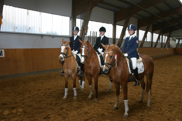 12 1 Dressurprfg Kl. A 4