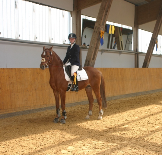 13 Stilspringwettbewerb Kl. E 01