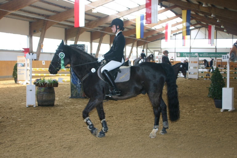 13 Stilspringwettbewerb Kl. E 10