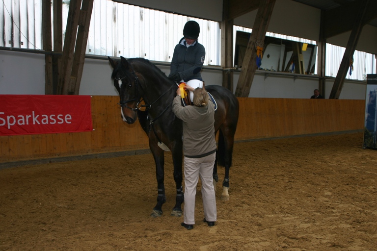 6 Springpferdeprfg Kl. A 1