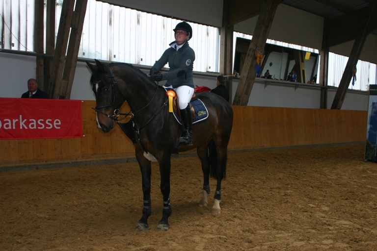 6 Springpferdeprfg Kl. A 3